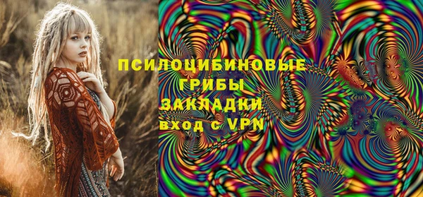 бошки Аркадак