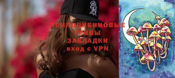 бошки Аркадак