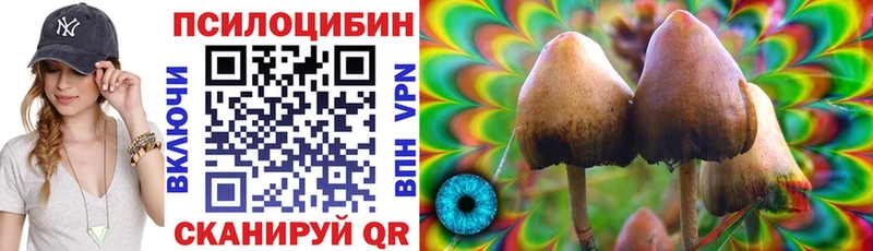 Псилоцибиновые грибы мицелий  Новомосковск 